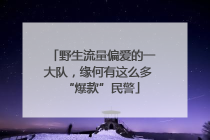 野生流量偏爱的一大队，缘何有这么多“爆款”民警