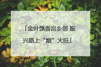 金叶飘香富乡邻 振兴路上“烟”火旺