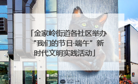 金家岭街道各社区举办“我们的节日·端午”新时代文明实践活动