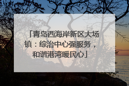 青岛西海岸新区大场镇：综治中心强服务，和谐港湾暖民心