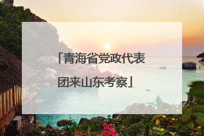 青海省党政代表团来山东考察