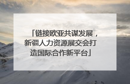 链接欧亚共谋发展，新疆人力资源展交会打造国际合作新平台