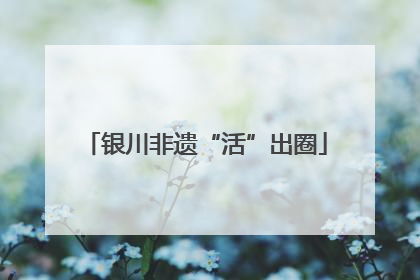 银川非遗“活”出圈