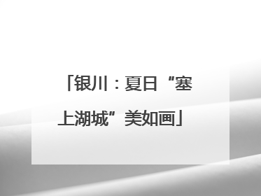 银川：夏日“塞上湖城”美如画