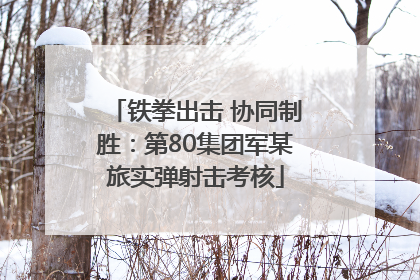 铁拳出击 协同制胜：第80集团军某旅实弹射击考核