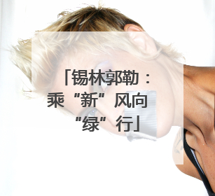 锡林郭勒：乘“新”风向“绿”行