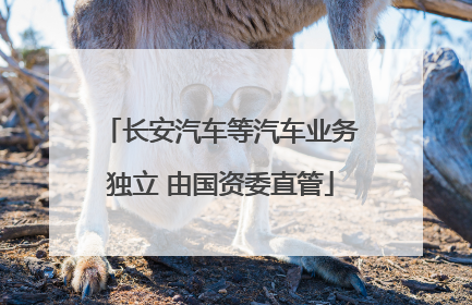 长安汽车等汽车业务独立 由国资委直管