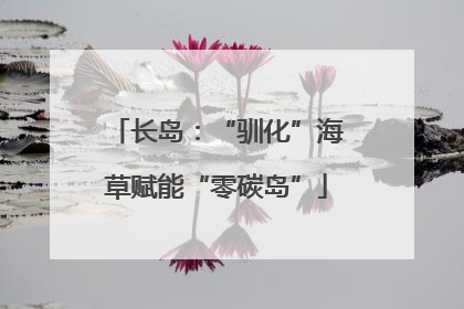 长岛：“驯化”海草赋能“零碳岛”