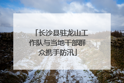 长沙县驻龙山工作队与当地干部群众携手防汛
