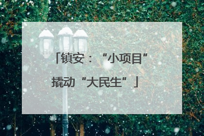 镇安：“小项目”撬动“大民生”