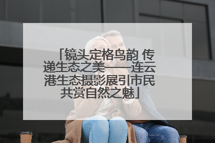 镜头定格鸟韵 传递生态之美——连云港生态摄影展引市民共赏自然之魅