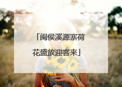 闽侯溪源寨荷花盛放迎客来