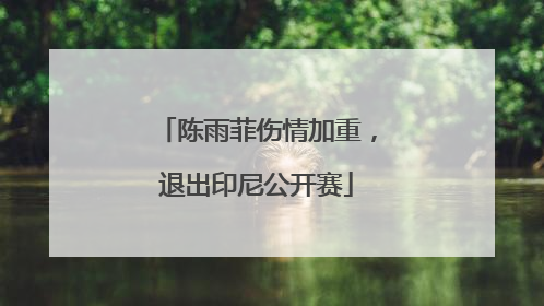 陈雨菲伤情加重，退出印尼公开赛