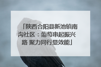陕西合阳县新池镇南沟社区：葡萄串起振兴路 聚力同行显效能