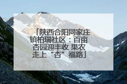 陕西合阳同家庄镇柏瑞社区：百亩杏园迎丰收 果农走上“杏”福路
