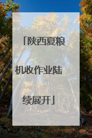 陕西夏粮机收作业陆续展开