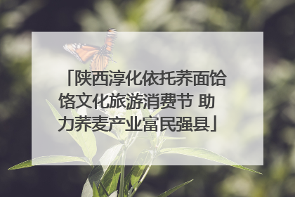 陕西淳化依托荞面饸饹文化旅游消费节 助力荞麦产业富民强县