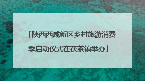 陕西西咸新区乡村旅游消费季启动仪式在茯茶镇举办