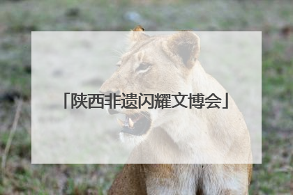 陕西非遗闪耀文博会