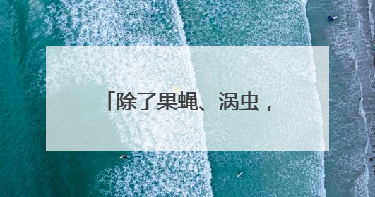 除了果蝇、涡虫，中国空间站还有哪些“动物航天员”
