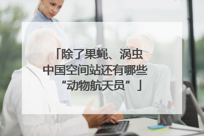 除了果蝇、涡虫 中国空间站还有哪些“动物航天员”