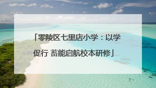 零陵区七里店小学：以学促行 蓄能启航校本研修