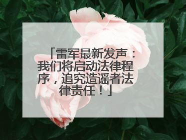 雷军最新发声：我们将启动法律程序，追究造谣者法律责任！