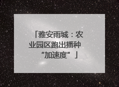 雅安雨城：农业园区跑出播种“加速度”