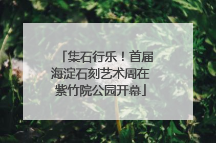 集石行乐！首届海淀石刻艺术周在紫竹院公园开幕