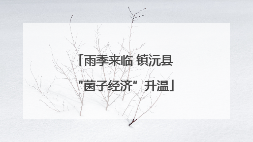 雨季来临 镇沅县“菌子经济”升温