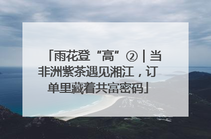 雨花登“高”②｜当非洲紫茶遇见湘江，订单里藏着共富密码