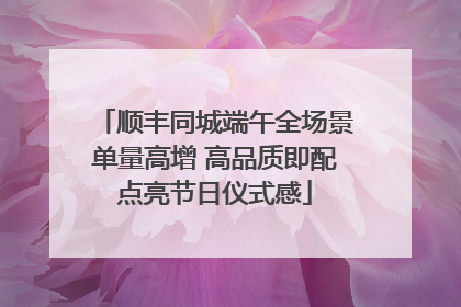 顺丰同城端午全场景单量高增 高品质即配点亮节日仪式感