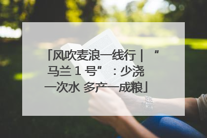 风吹麦浪一线行｜“马兰 1 号”：少浇一次水 多产一成粮