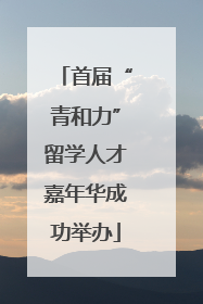 首届“青和力”留学人才嘉年华成功举办