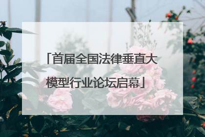 首届全国法律垂直大模型行业论坛启幕