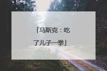 马斯克：吃了儿子一拳