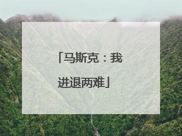 马斯克：我进退两难