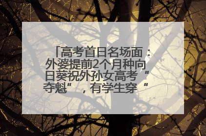 高考首日名场面：外婆提前2个月种向日葵祝外孙女高考“夺魁”，有学生穿“全对”战服赴考
