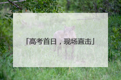 高考首日，现场直击