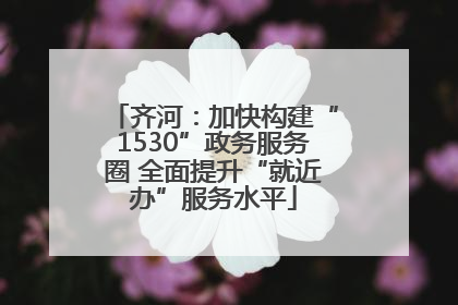 齐河：加快构建“1530”政务服务圈 全面提升“就近办”服务水平