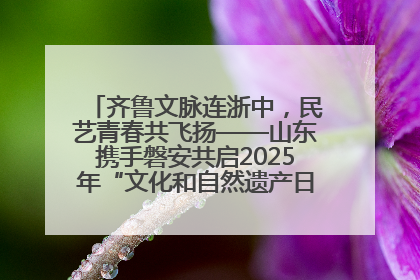 齐鲁文脉连浙中，民艺青春共飞扬——山东携手磐安共启2025年“文化和自然遗产日”系列活动