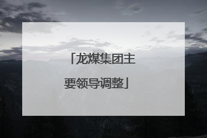 龙煤集团主要领导调整