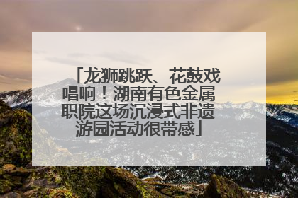 龙狮跳跃、花鼓戏唱响！湖南有色金属职院这场沉浸式非遗游园活动很带感