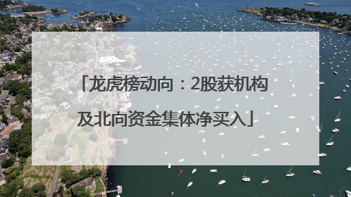 龙虎榜动向：2股获机构及北向资金集体净买入