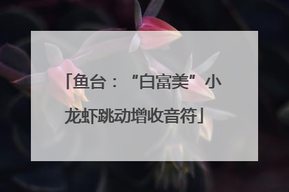 鱼台：“白富美”小龙虾跳动增收音符