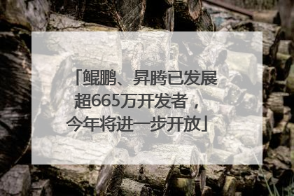鲲鹏、昇腾已发展超665万开发者，今年将进一步开放