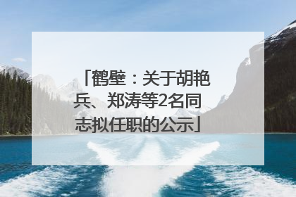 鹤壁：关于胡艳兵、郑涛等2名同志拟任职的公示