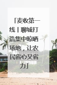 麦收第一线丨聊城打造集中晾晒场地，让农民省心又省力