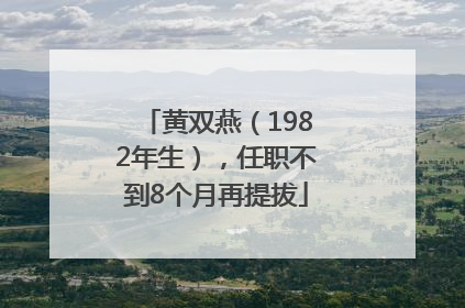 黄双燕（1982年生），任职不到8个月再提拔