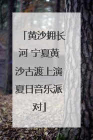 黄沙拥长河 宁夏黄沙古渡上演夏日音乐派对